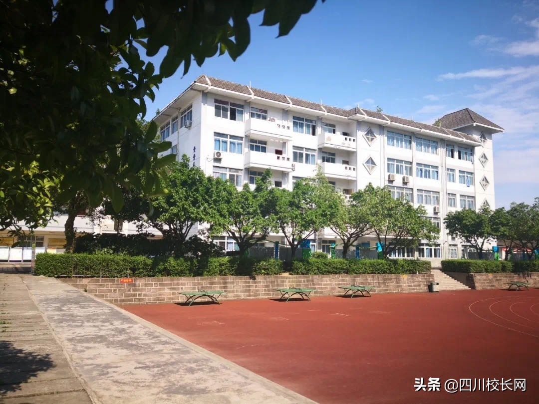 成都市洪河中学,成都市龙泉驿区洪河青苗学校情况