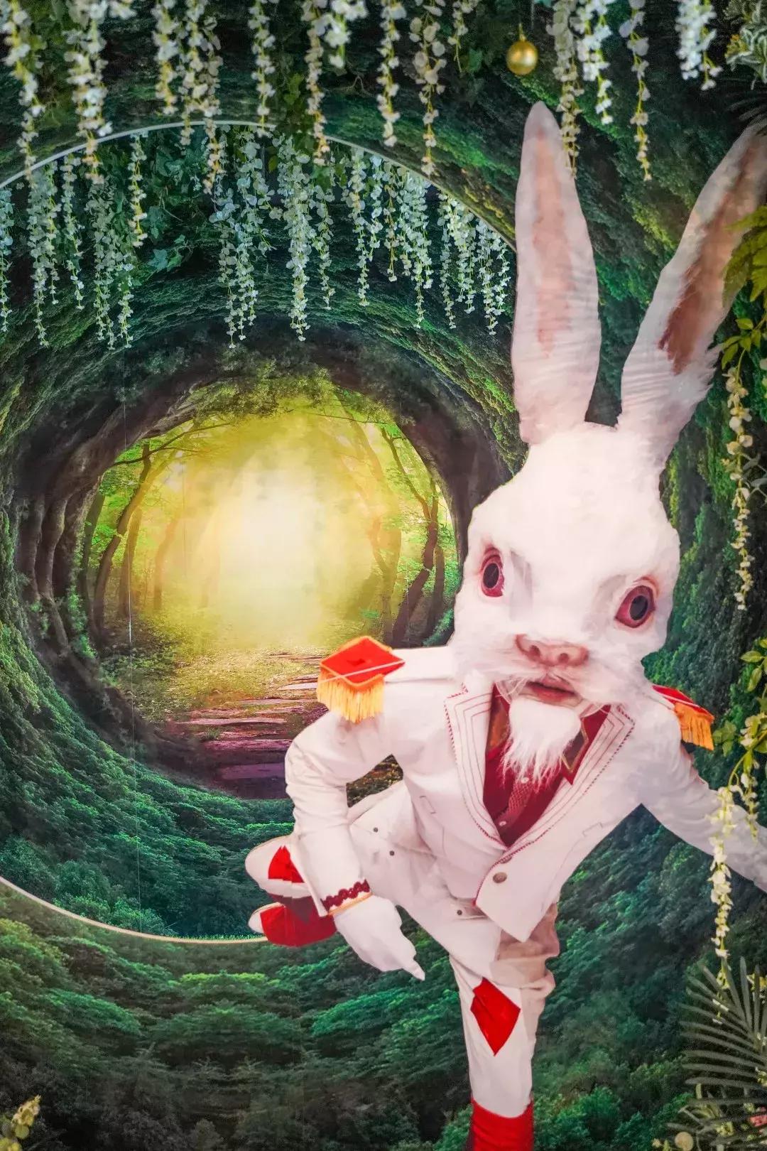 爱丽丝梦游仙境展演,爱丽丝冒险奇遇记演出上海