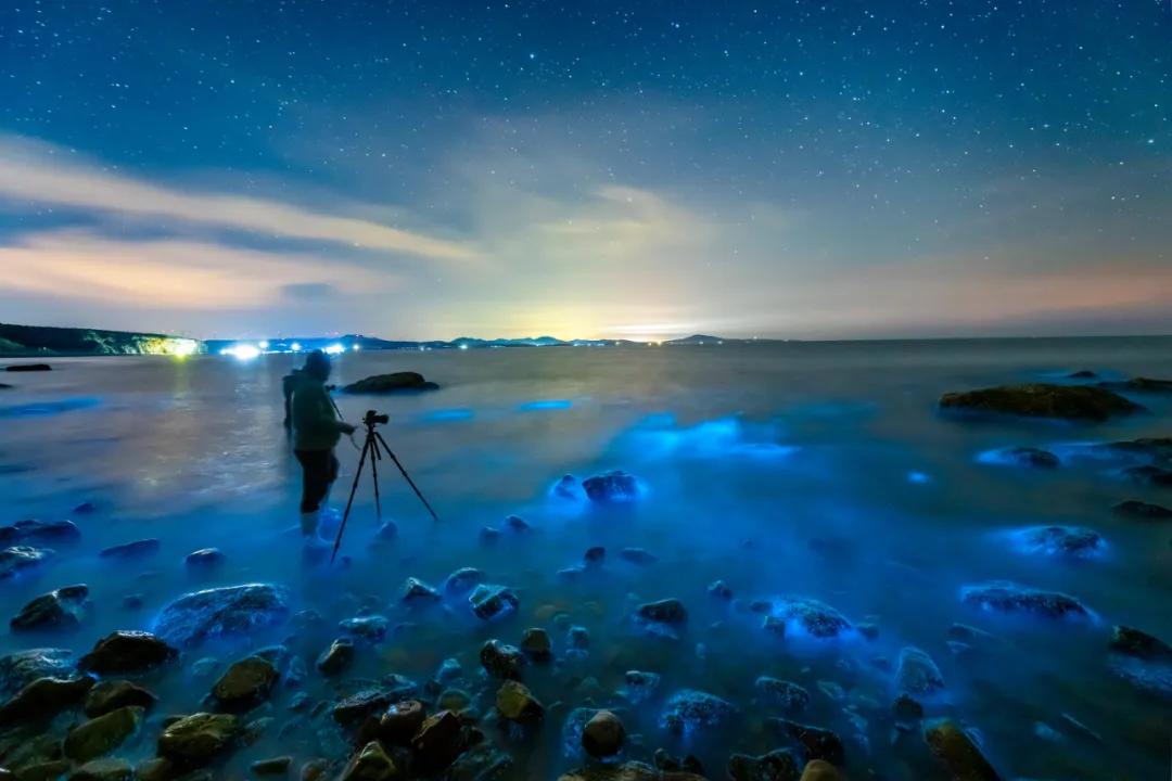 带大家一起看大连的海,来看看大连的海