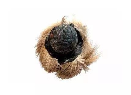 麝香开窍醒神作用机理,麝香可以开窍醒神吗