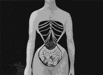 束腰为什么那么热,束腰为什么又流行