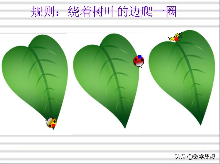 周长的认识大单元教学,周长的认识三年级