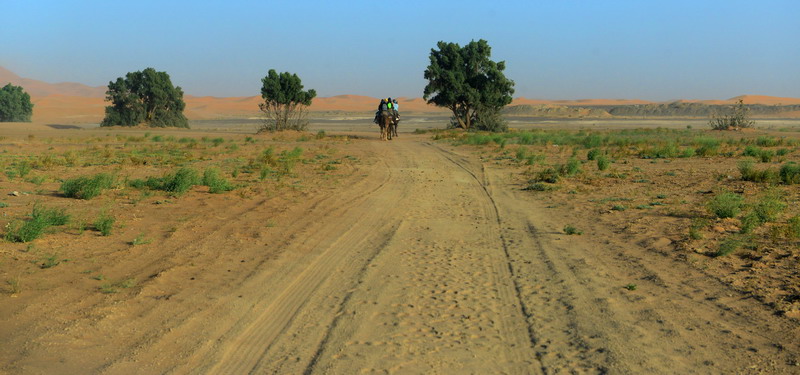 撒哈拉沙尘暴照片,撒哈拉沙漠沙尘暴实拍