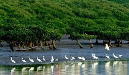 深圳鹏城花园,深圳罗湖鹏城花园