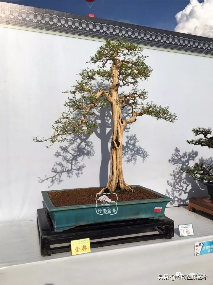 骞哥涔呬箙鐢滅敎铚滆湝,骞哥涔呬箙