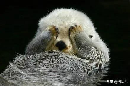 大暑+中伏，全年最湿热的日子，做好这9件事，排出体内多余的垃圾