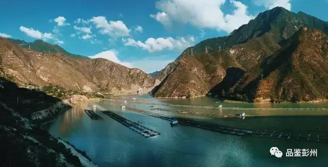 珍贵的鲟鱼子酱,顶级的鲟鱼子酱