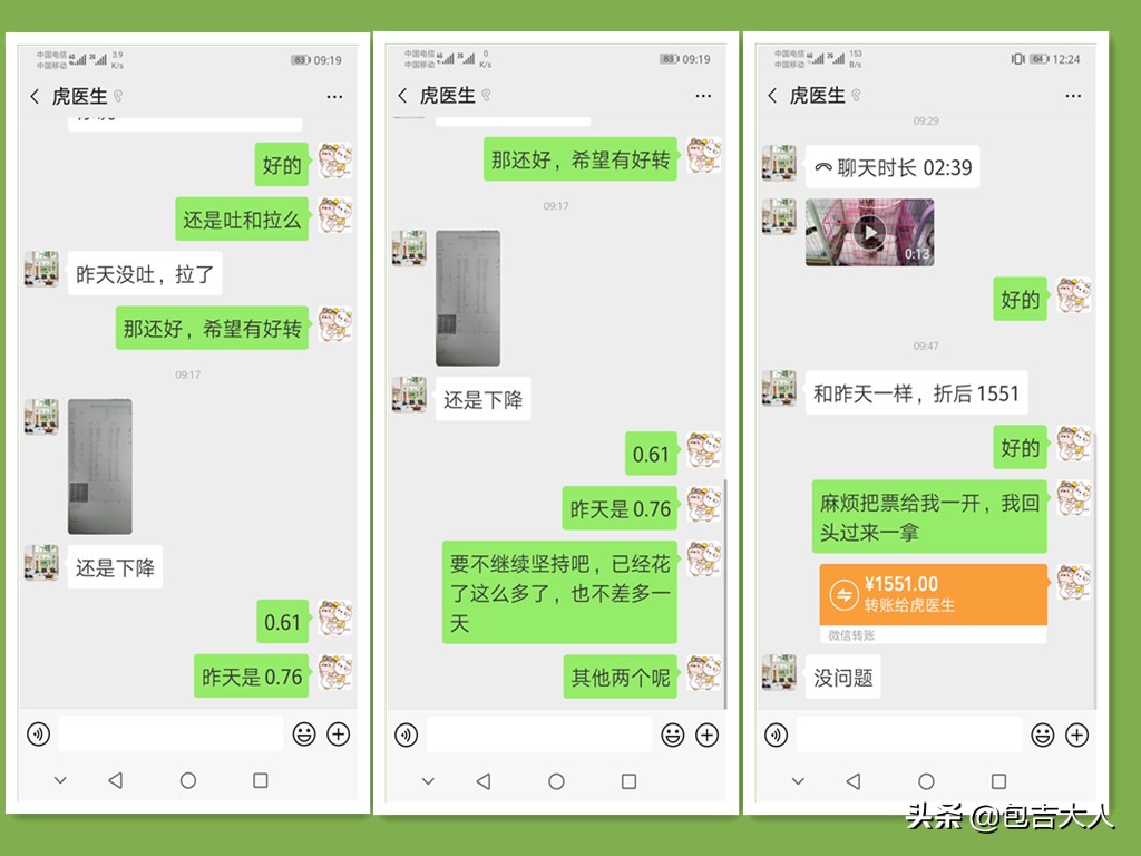 养猫经验杂谈论文摘要大全,养猫经验大分享