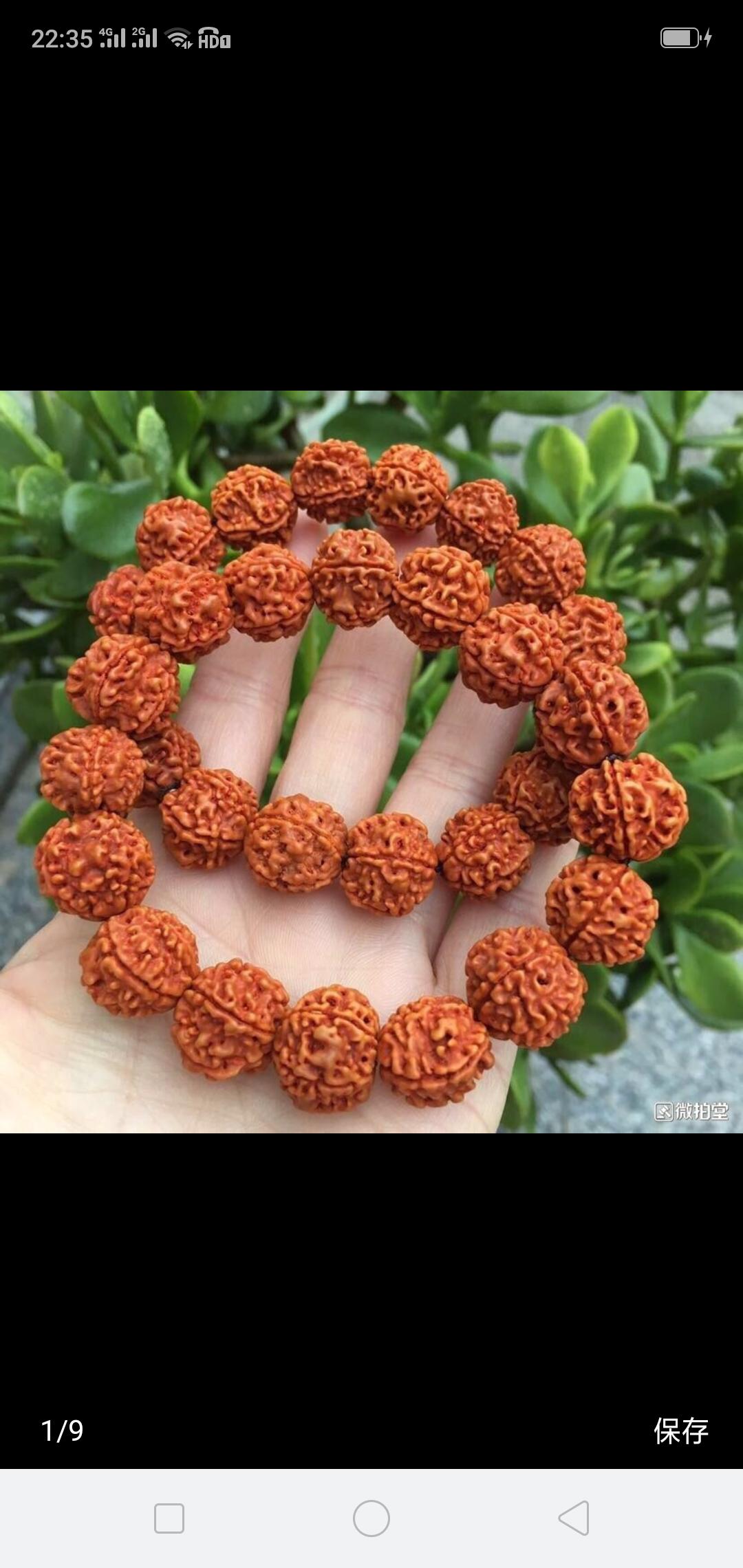 文玩核桃状元冠产地,文玩核桃盘山三棱产地