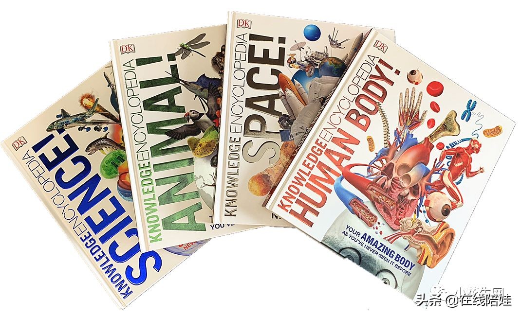 dk知识大百科全套,dk知识大百科书金银版