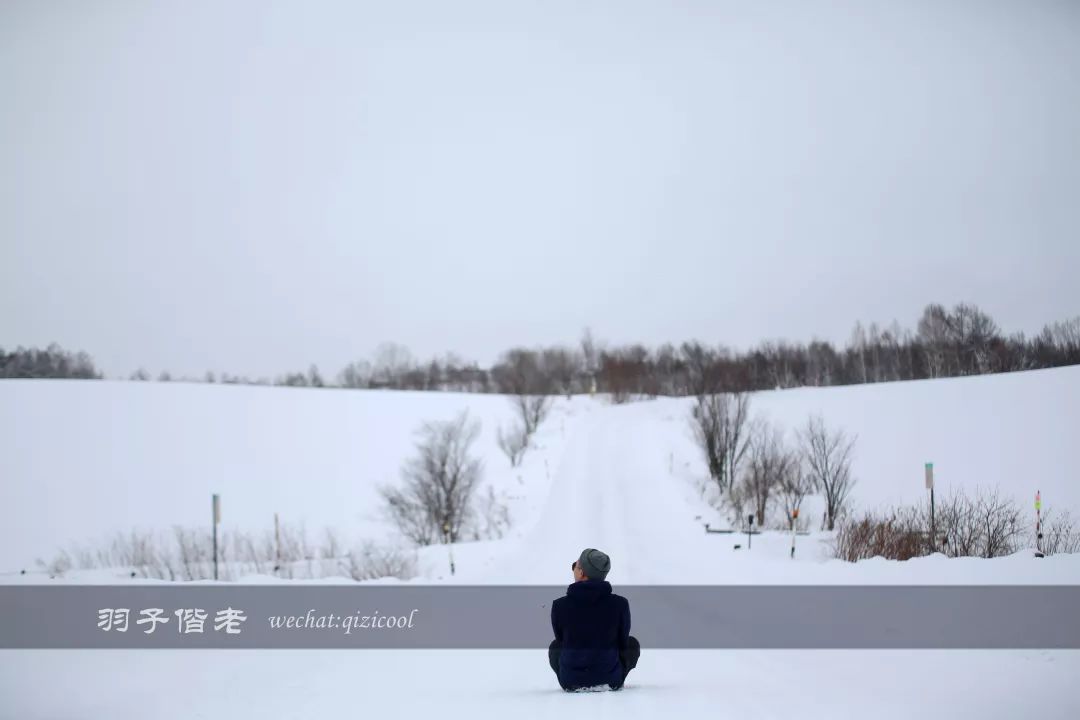 老实说,这一趟北海道就是为了拍好看的照片去的