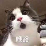 刘强东推荐一双小白鞋,刘强东的鞋子