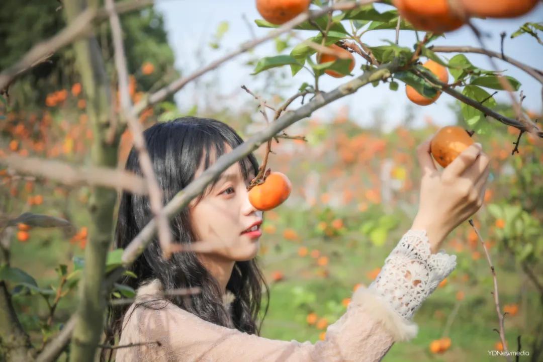 武汉农家乐一日游,武汉近郊农家乐一日游
