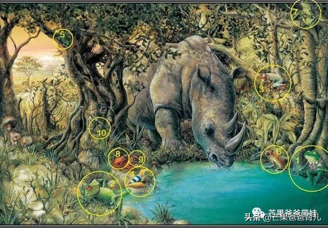 幼儿园教师必读的绘本,适合幼儿教师看的绘本