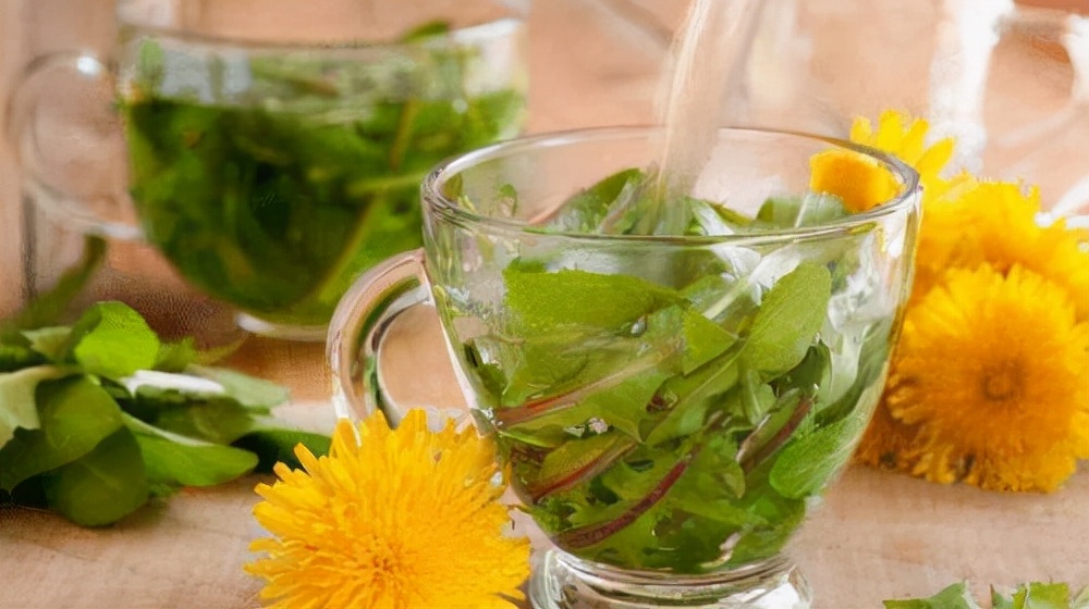 蒲公英泡水喝能消子宫肌瘤吗,蒲公英泡水喝对子宫肌瘤有点用吗