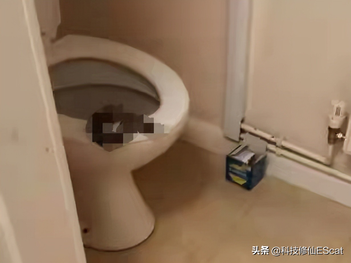 两条毒蛇互相咬会怎么样,两条毒蛇相互咬一口都会死吗