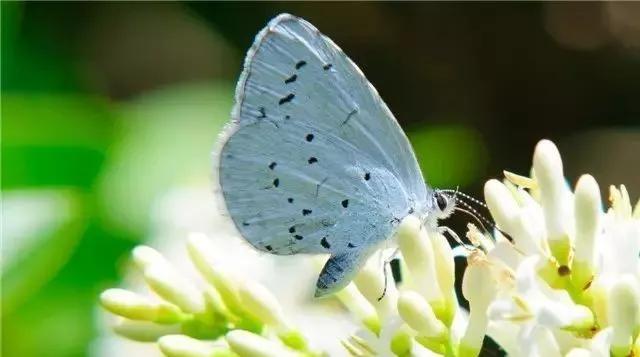 土壤对健康有害吗,土壤的危害与改善