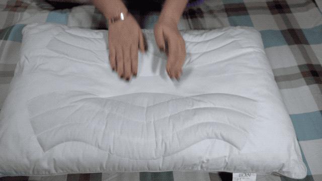 真正的羽绒枕头多少钱,羽绒枕价格差距为什么那么大