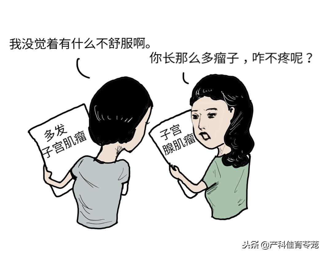 肌瘤和腺肌瘤的关系,肌瘤与腺肌瘤的区别