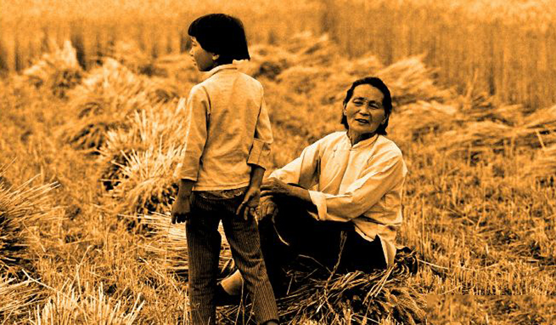 80年代农村为什么虱子多,为何30年前农村男女老少都有虱子