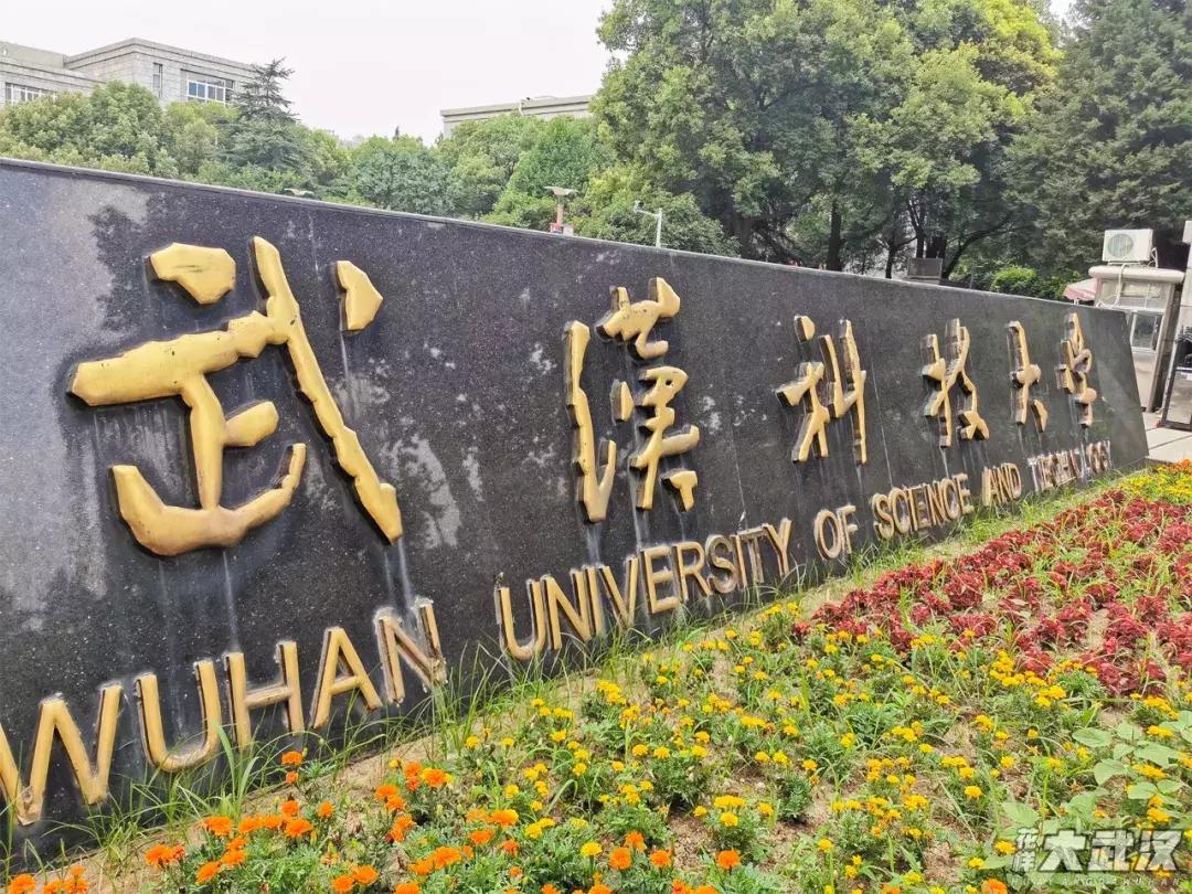 武汉科技大学的机械学院,武汉科技大学医学院和临床学院