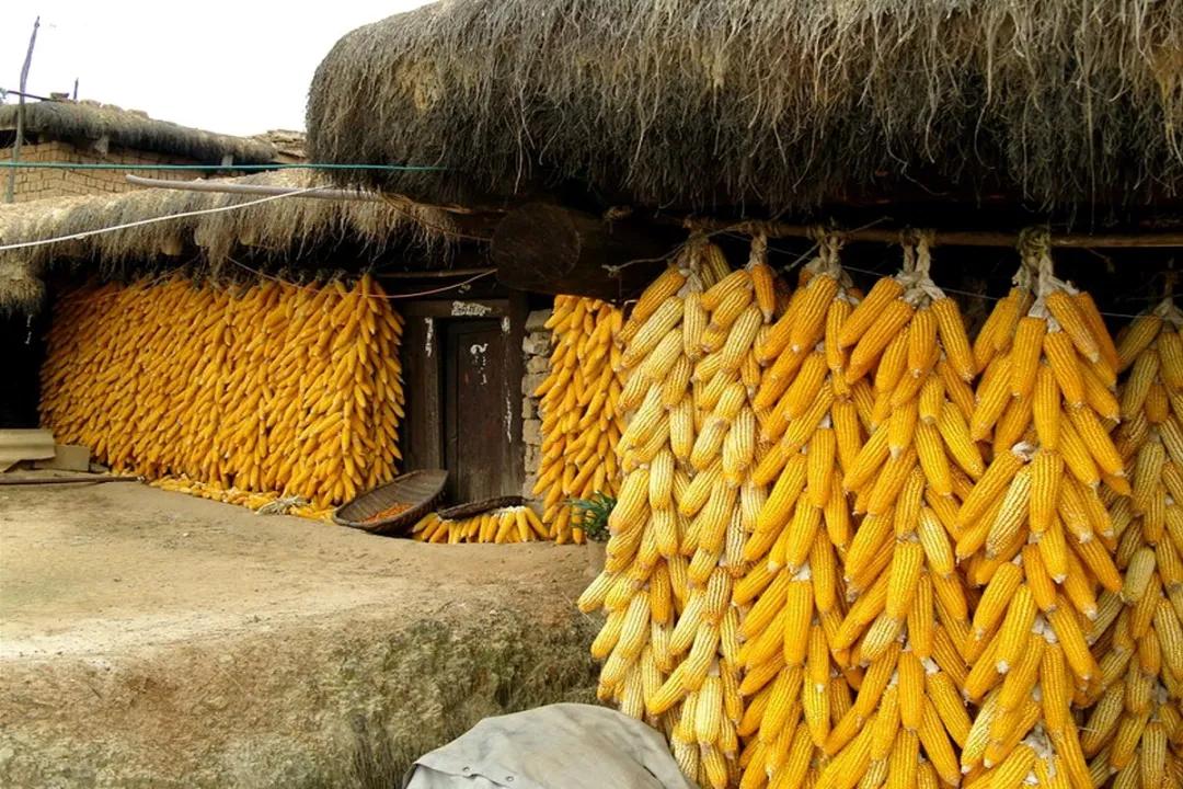 走进深山看美景,走进深山看大山里的风景