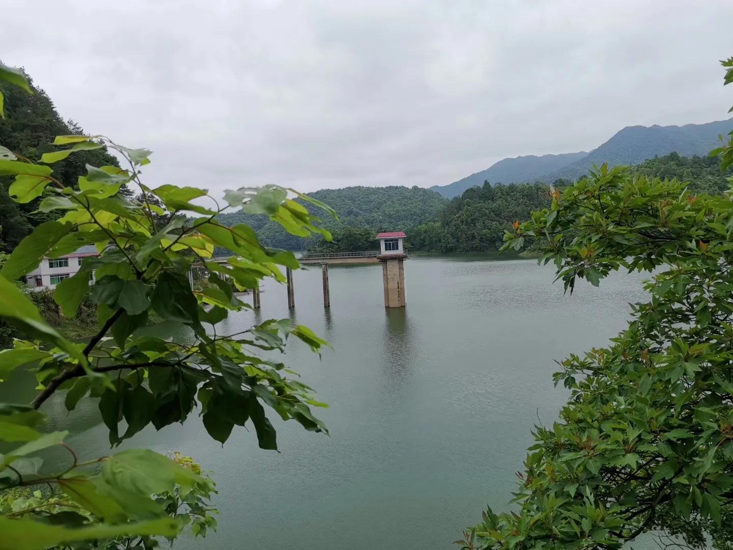 调理妇科炎症的中药方子,妇科炎症怎么增强抵抗力