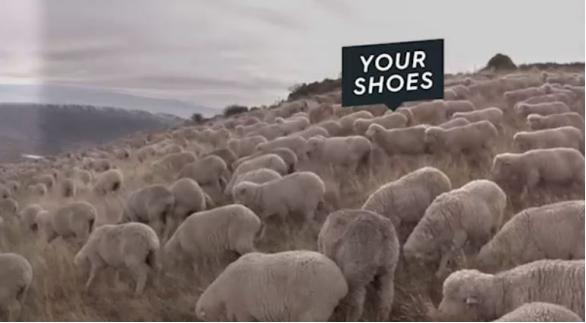 看了一双鞋子不舍得买,看了一双600的鞋没舍得买