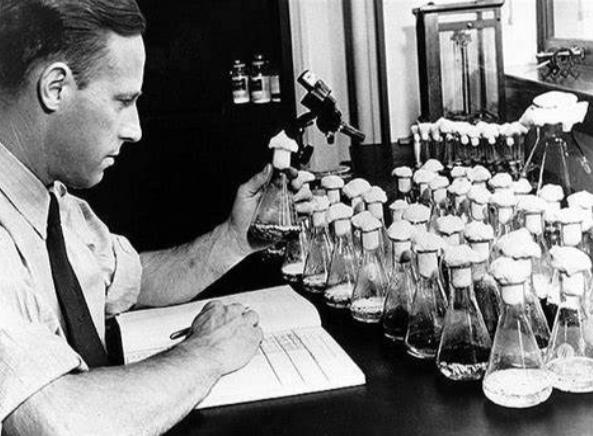 盘尼西林研发史,二战盘尼西林作用功效