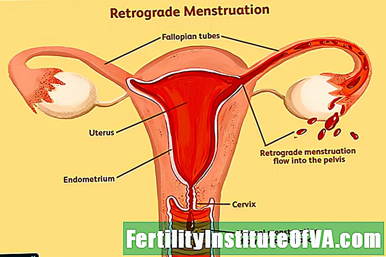 神舟13号发射成功女航天员,神舟十三号会有女性航天员吗