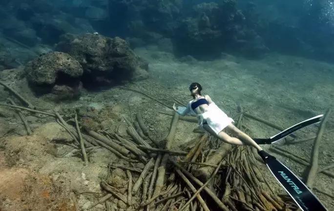 帕劳自由潜水完整视频,帕劳自由潜水玩法