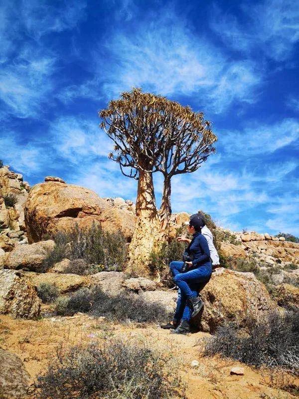 一棵多肉直播间,一元一棵多肉直播间