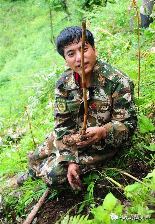 中国有几个昭通,中国有多少个昭通