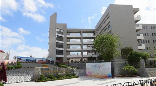 龙华区民办小学排名,2021龙华区小学入学政策