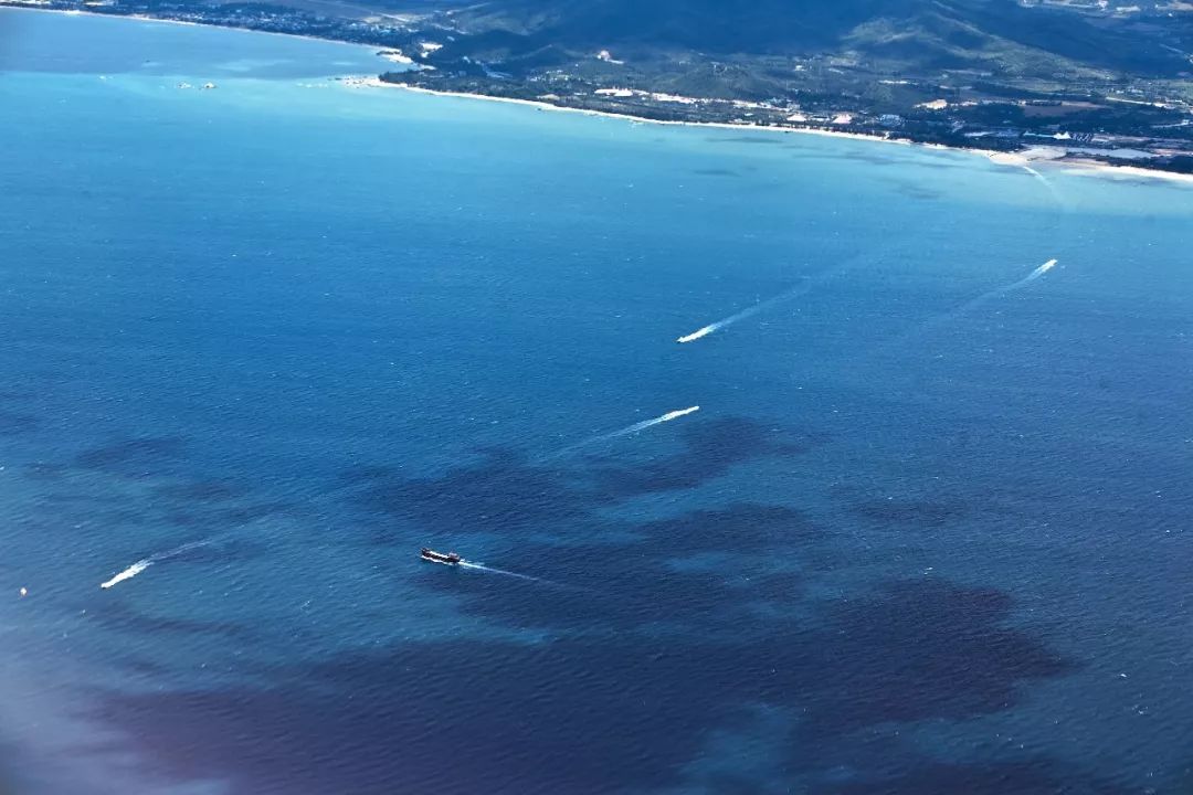 三亚外地人多,三亚市外地人