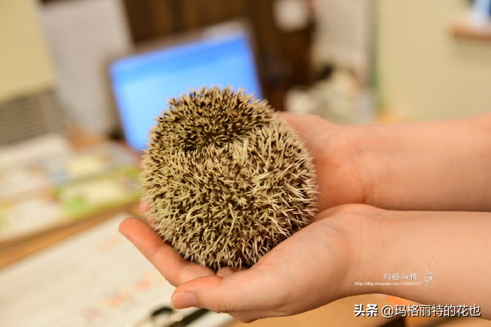 大阪街头随拍\暑假日本游