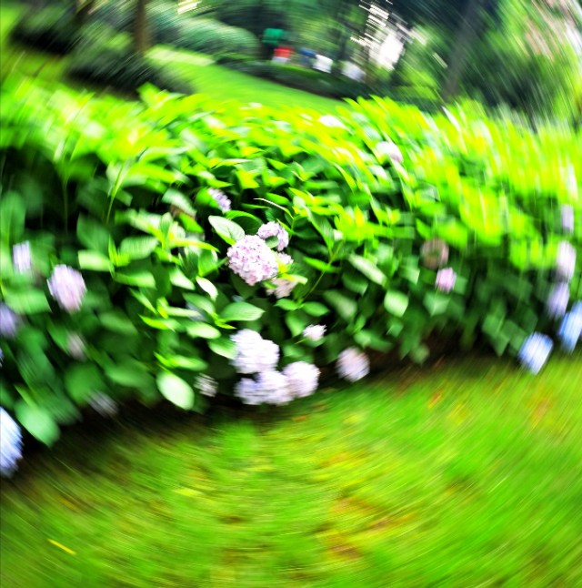 旋转拍摄法,旋转相机拍摄