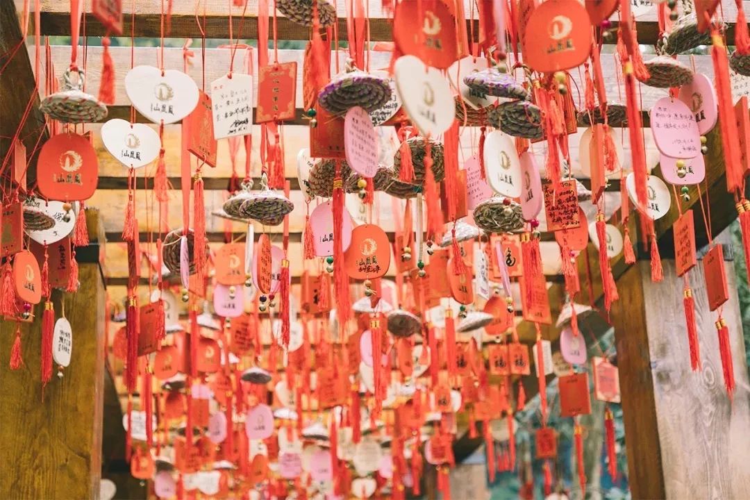 坐11号线去深圳看海,11号线碧海湾看海