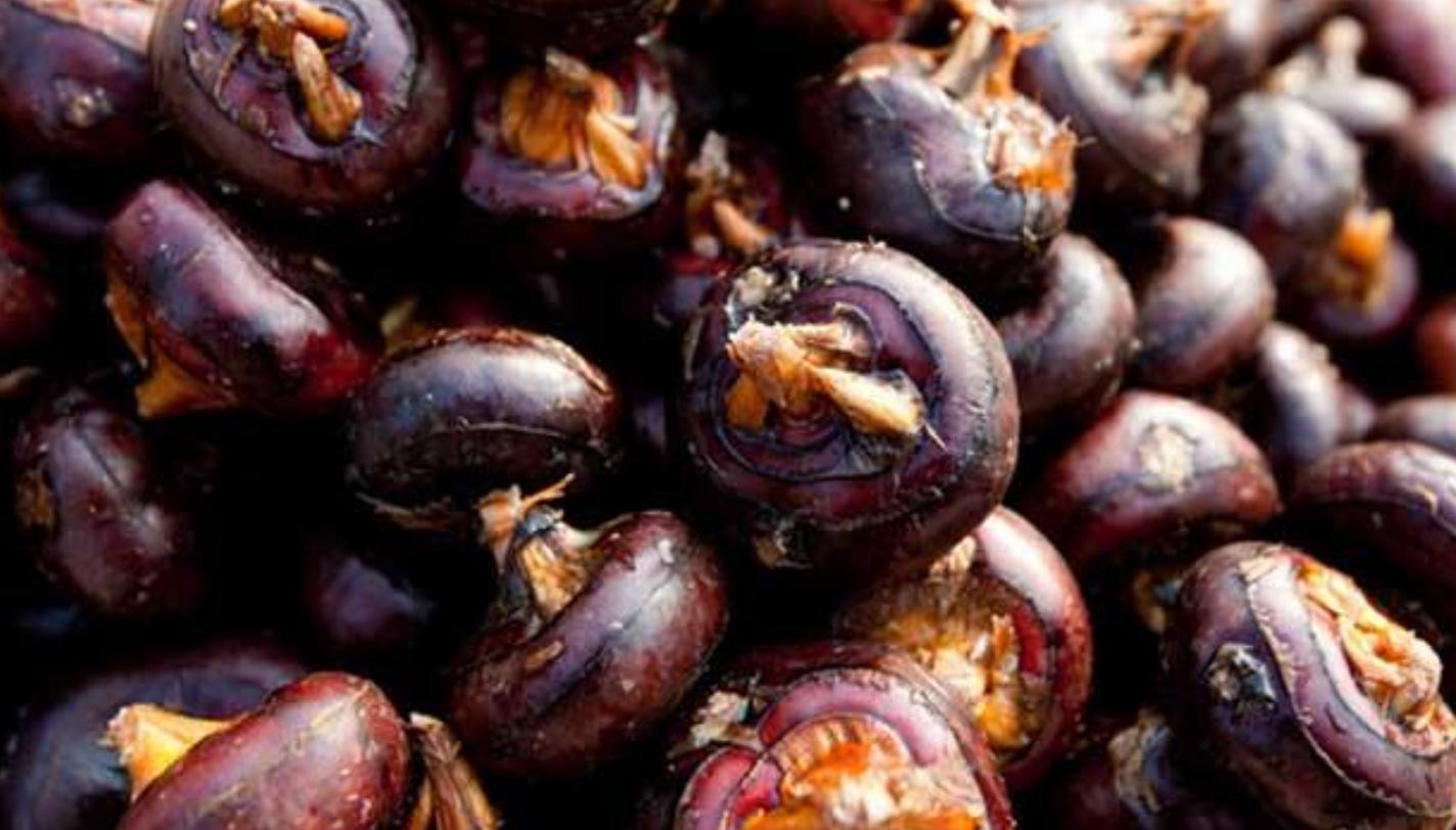 荸荠的最佳吃法和做法图文,荸荠的最佳吃法和做法