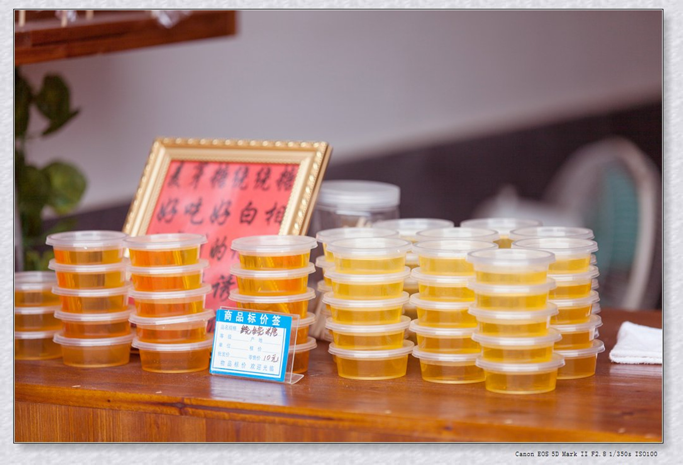 常州旅游东方盐湖城,骆驼之旅视频