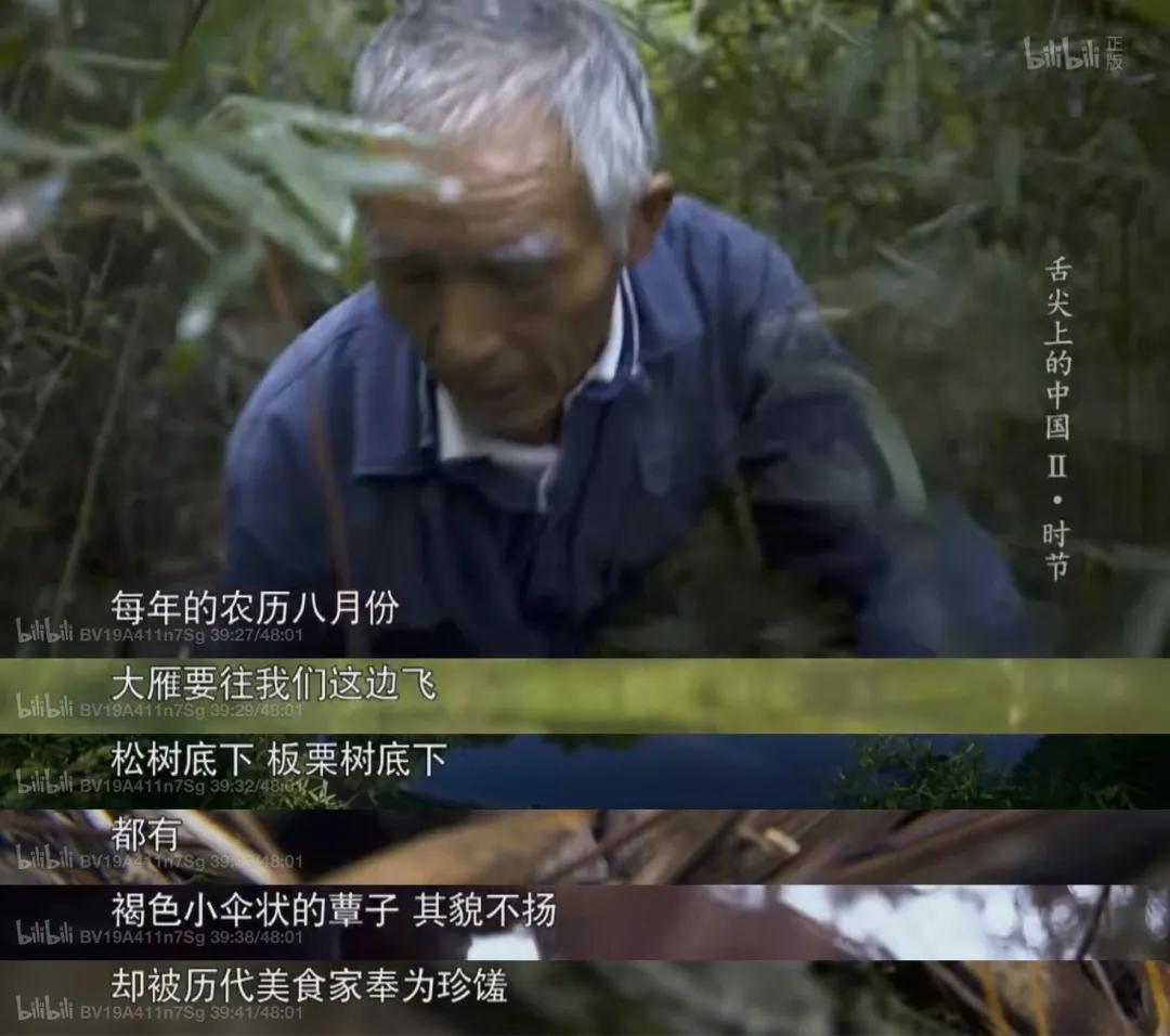 江浙沪天然温泉度假村排名榜,江浙沪温泉最好的地方排名