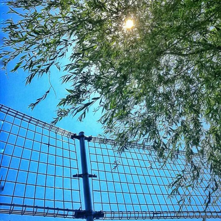 辽宁工程技术大学辽宁省分数线,辽宁工程技术大学在辽宁省排名