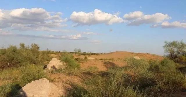 象群北迁日本报道,象群北迁降雨线北移
