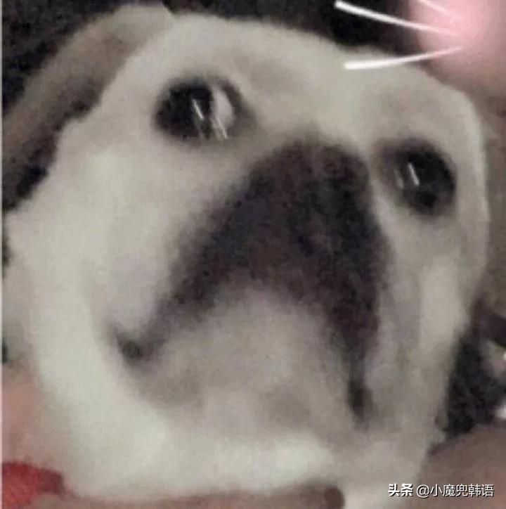 太脏了!原来这些韩语脏话不只是字面意思那么简单