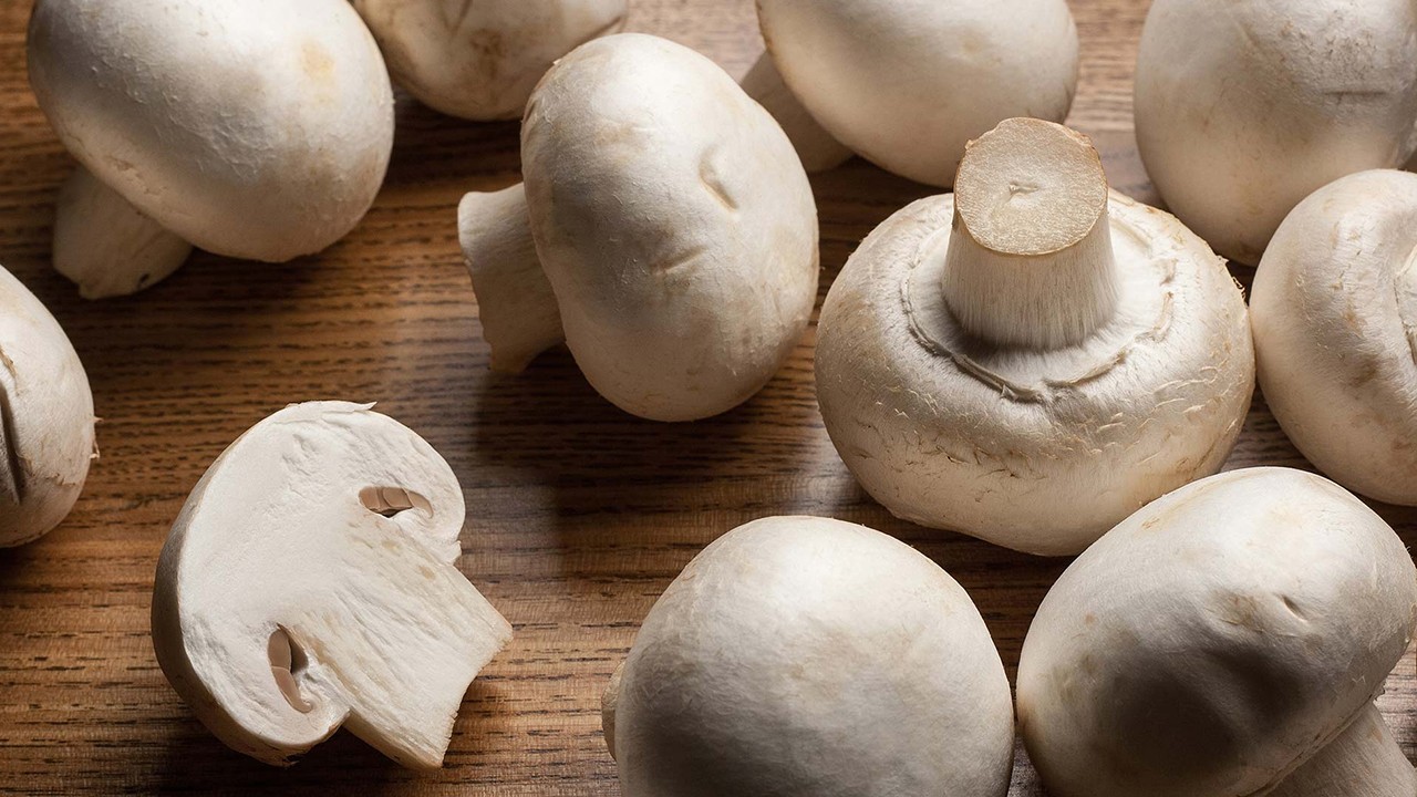 世界最贵蘑菇品种,世界上最贵蘑菇多少钱