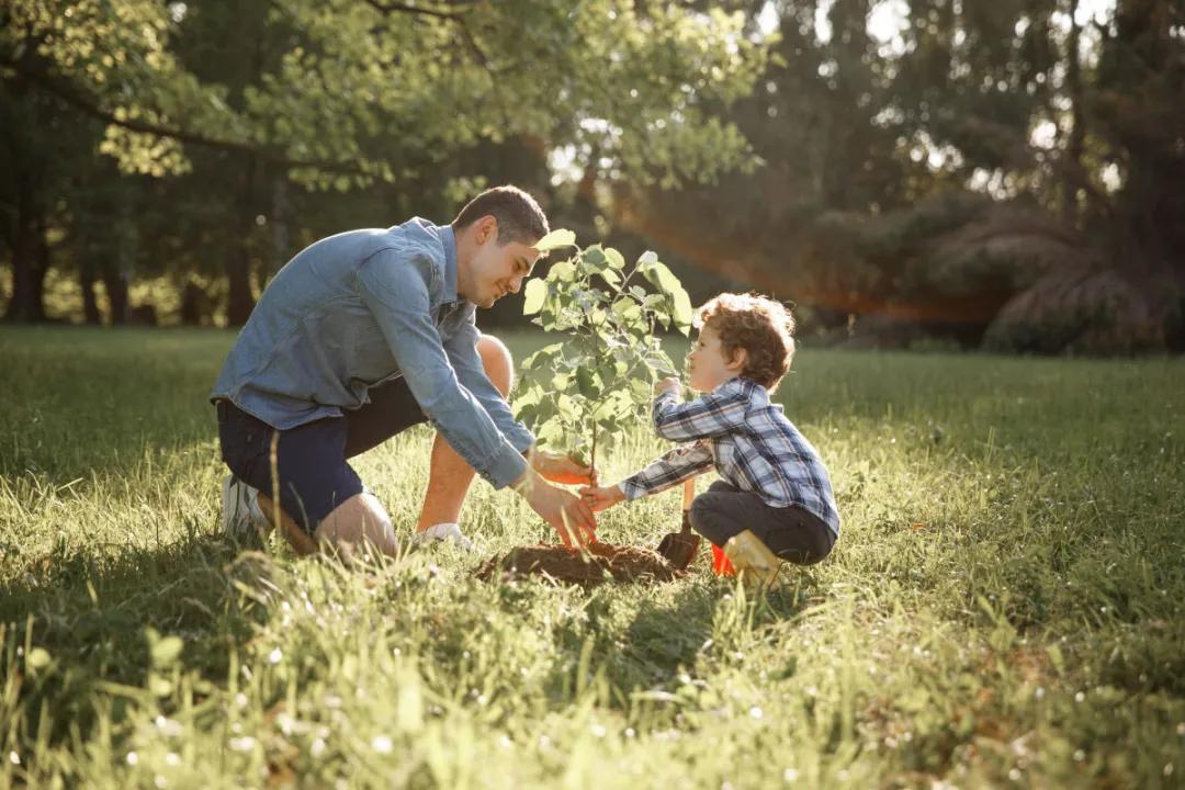 如何拥抱一个刺猬,两只刺猬如何拥抱