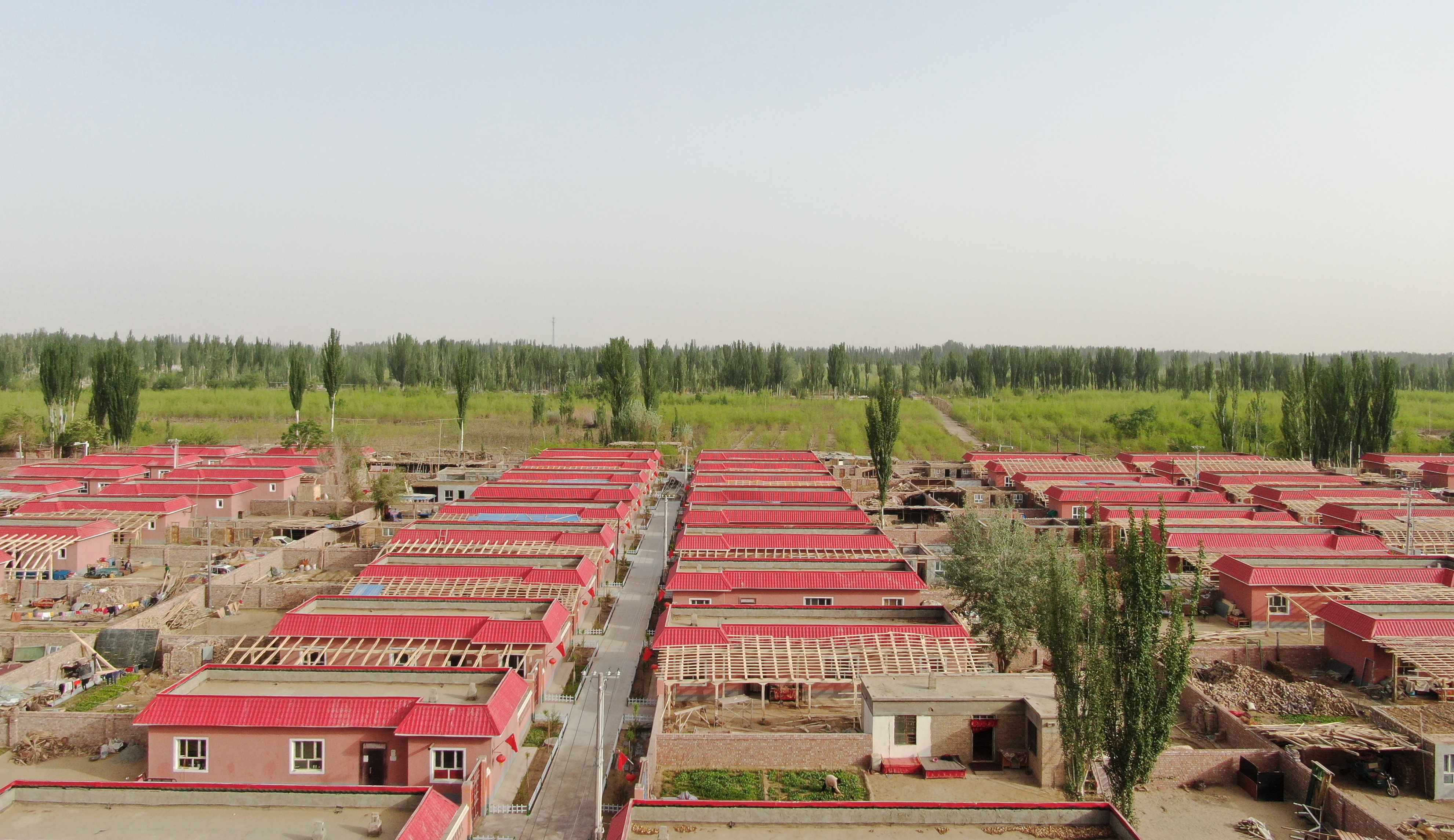 岳敏拈花一笑,岳敏生