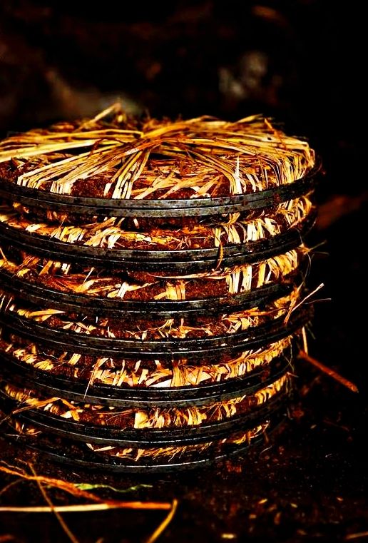 山茶籽农家自榨山茶油,山茶麸文化传承