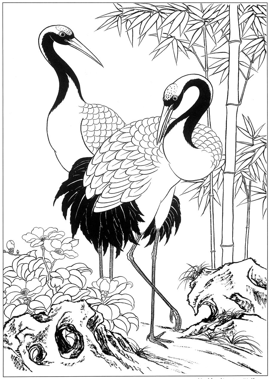 仙鹤桃子工笔白描稿,工笔画仙鹤高清图上色步骤图