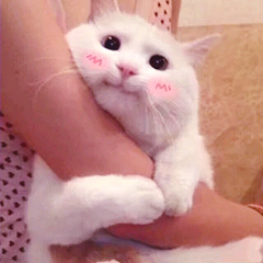 唱歌不知道怎么训练气息？教你十三种训练气息的技巧！（快收藏）